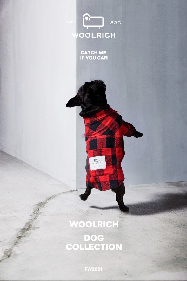 記事詳細｜ニュース｜WOOLRICH（ウールリッチ）公式オンラインストア